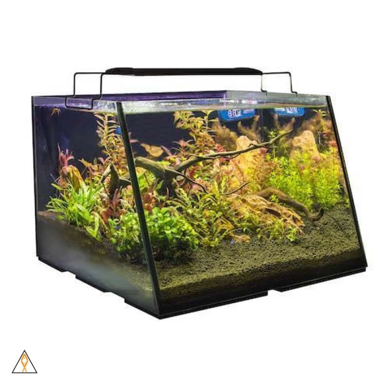 Full View Aquarium - Lifegard Aquatics