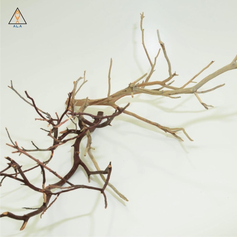 Manzanita Wood - ALA