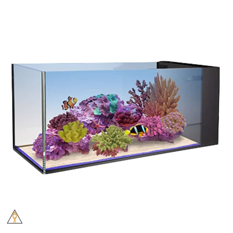 Nuvo Fusion Peninsula 20 - Innovative Marine