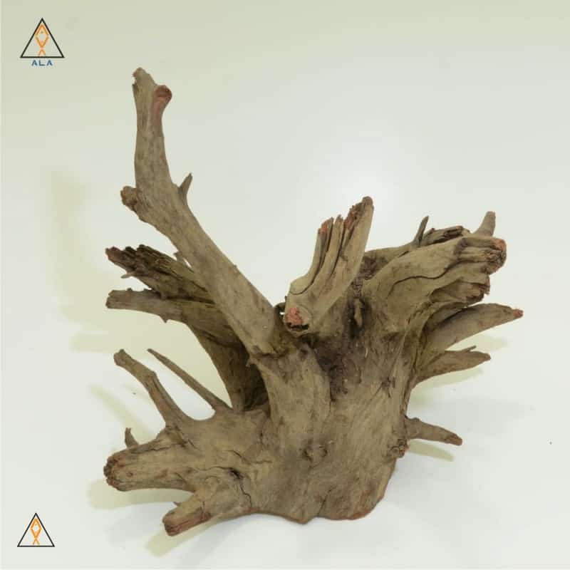 Saba Wood Showpiece #22223 - ALA
