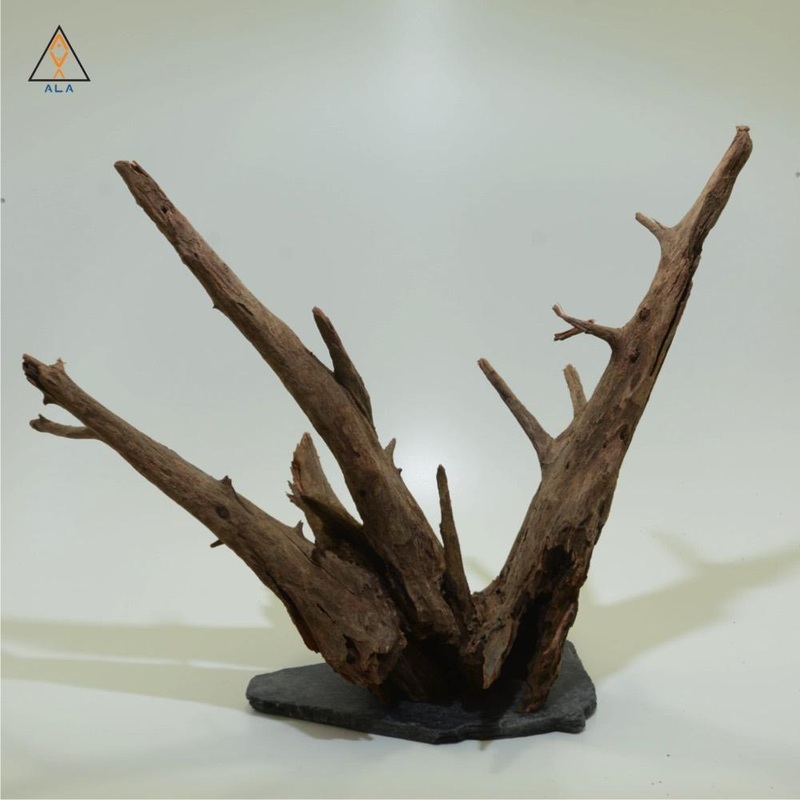 Woodslate - ALA