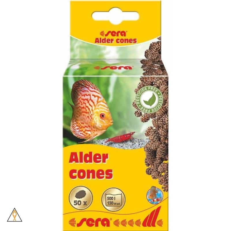Alder Cones - Sera