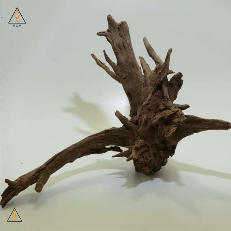 Jangle Wood Showpiece #22222 - ALA