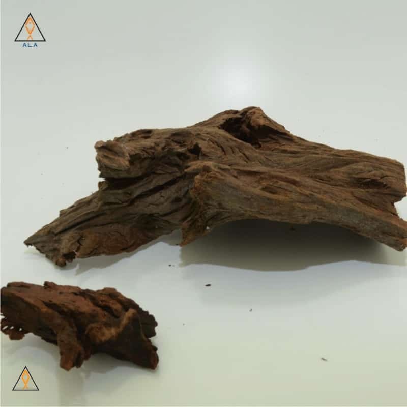 Malaysian Driftwood - ALA
