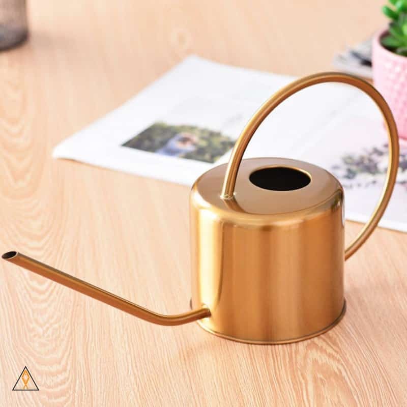 Metal Watering Can (1 liter) - ALA