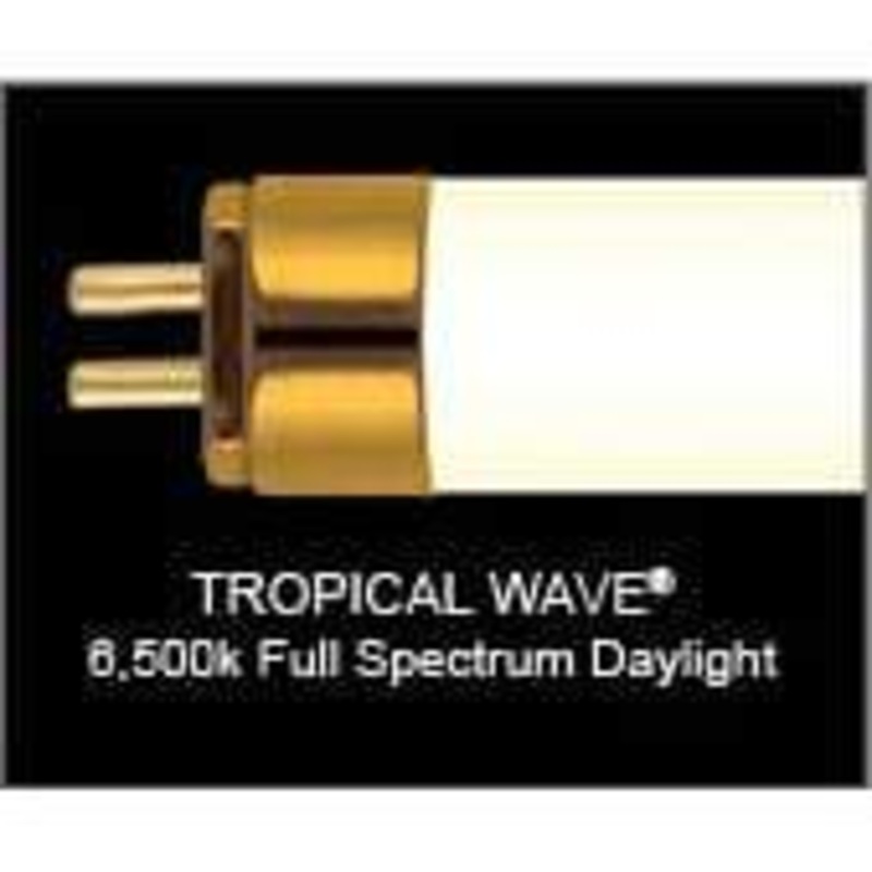 Tropical Wave HO T5 Florescent Replacement Lamp 21"  - Wave Point Technology