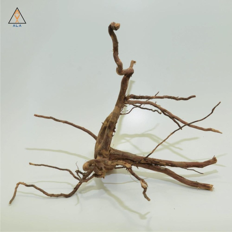 Kakado Wood - ALA