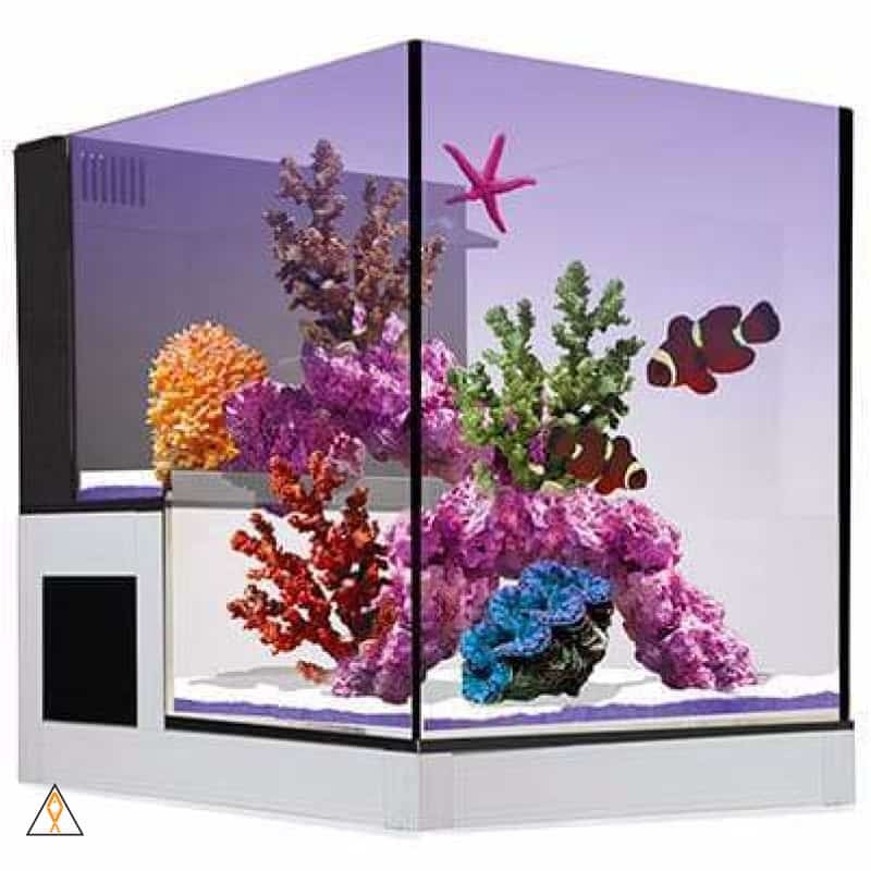 Nuvo Concept ABYSS Peninsula All-In-One Aquarium (20 GAL) - Innovative Marine