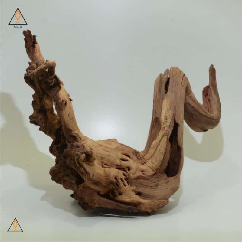 Pacific Wood Showpiece #22222 - ALA