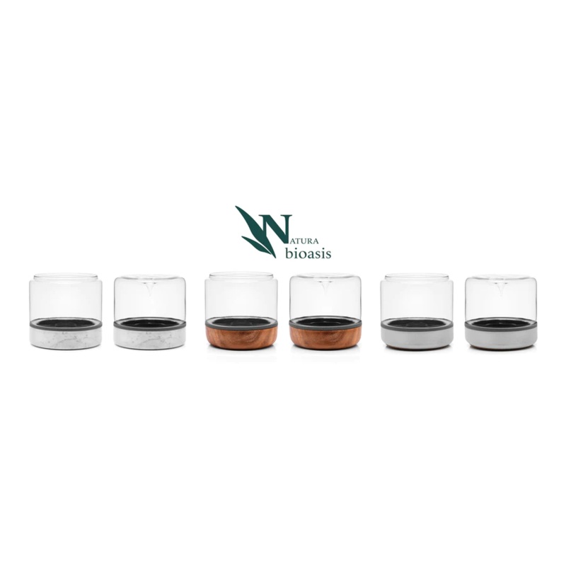 Closed Natura Bioasis Terrarium, Medium