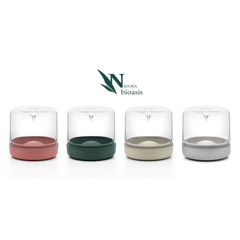 Closed Natura Bioasis Terrarium, Small