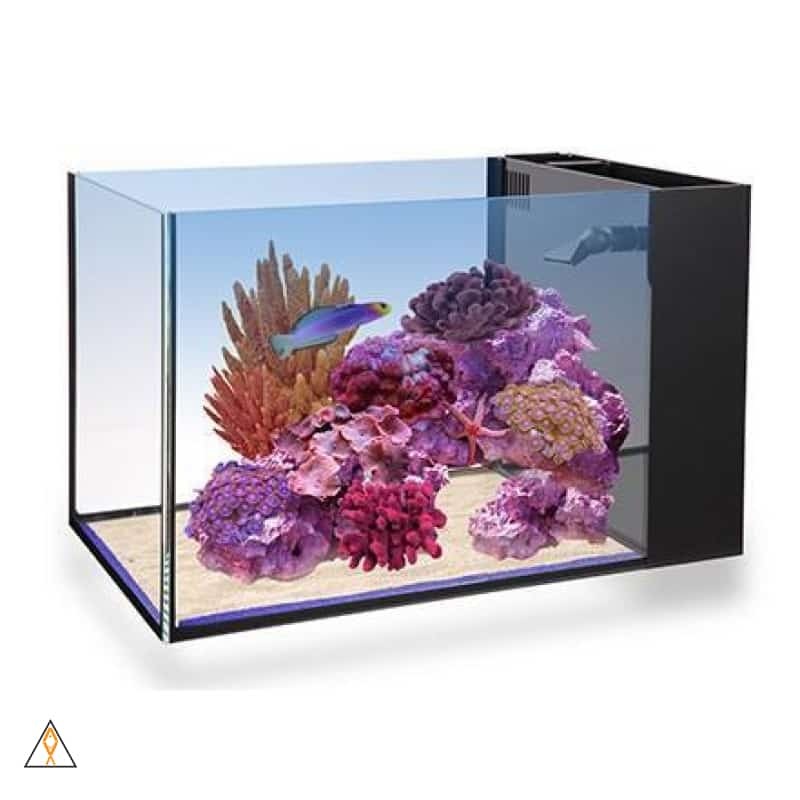 Nuvo Fusion Peninsula 14 - Innovative Marine