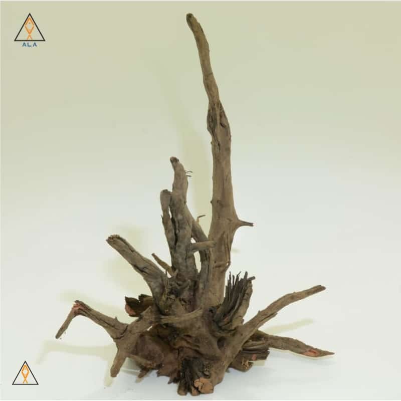 Saba Wood Showpiece #22222 - ALA