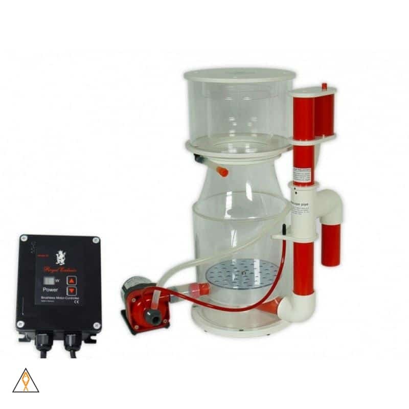 Bubble King Deluxe 250 Internal Protein Skimmer - Royal Exclusiv