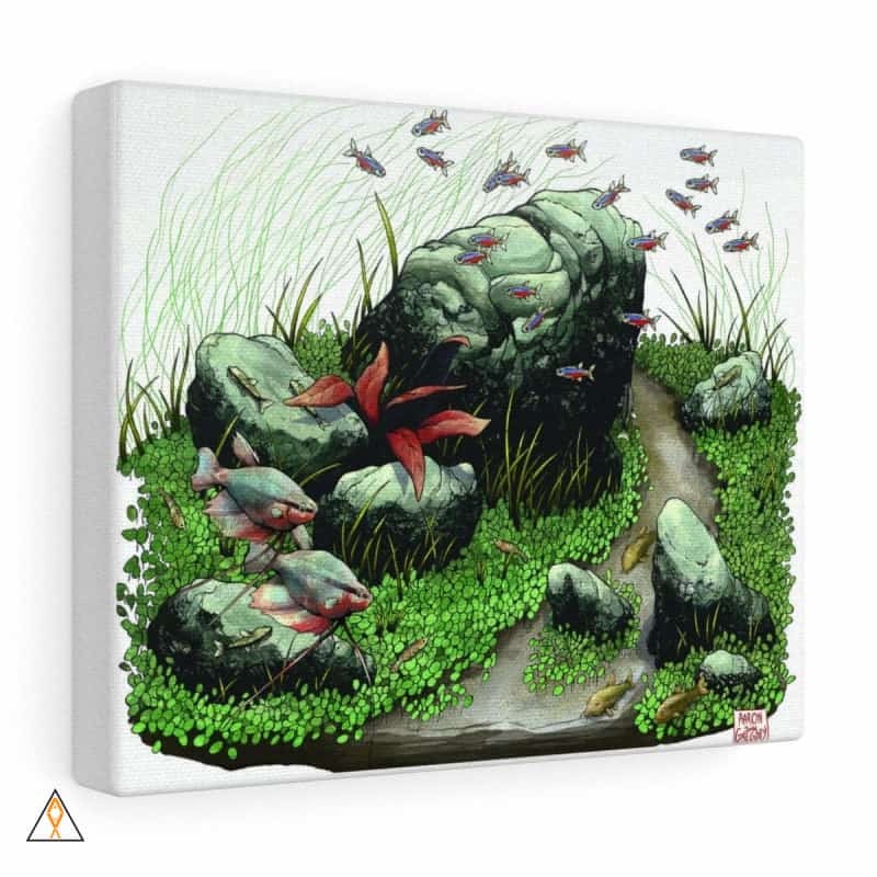 Freshwater Canvas Gallery Wrap