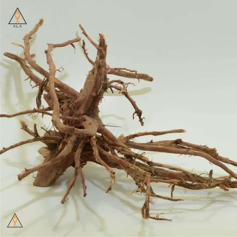 Kakado Wood Showpiece #22222 - ALA
