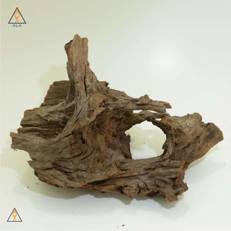 Malaysian Driftwood Showpiece #22226