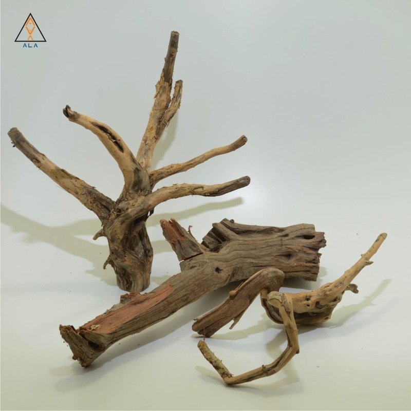 Neka Wood - ALA