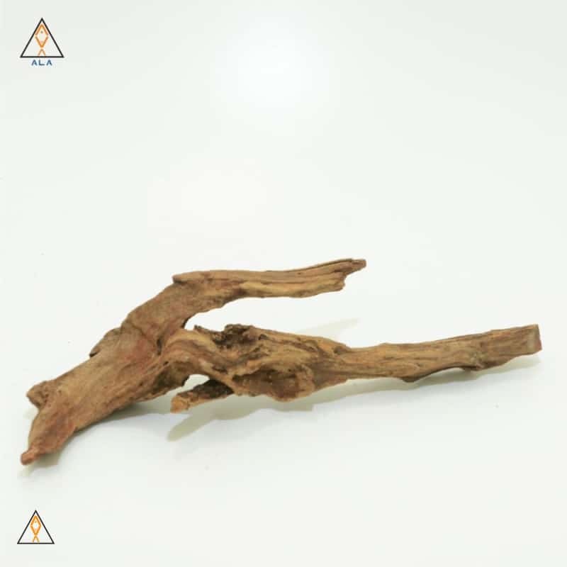 Pacific Wood - ALA