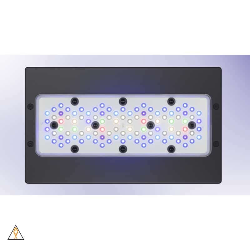 Radion G5 Pro LED Light Fixture - EcoTech Marine