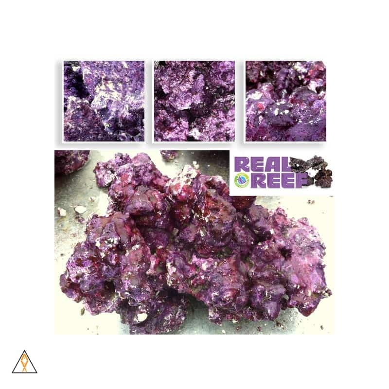 Real Reef Artificial Dry Rock
