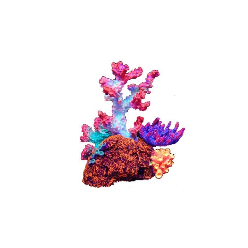 Aquarium Coral Decoration