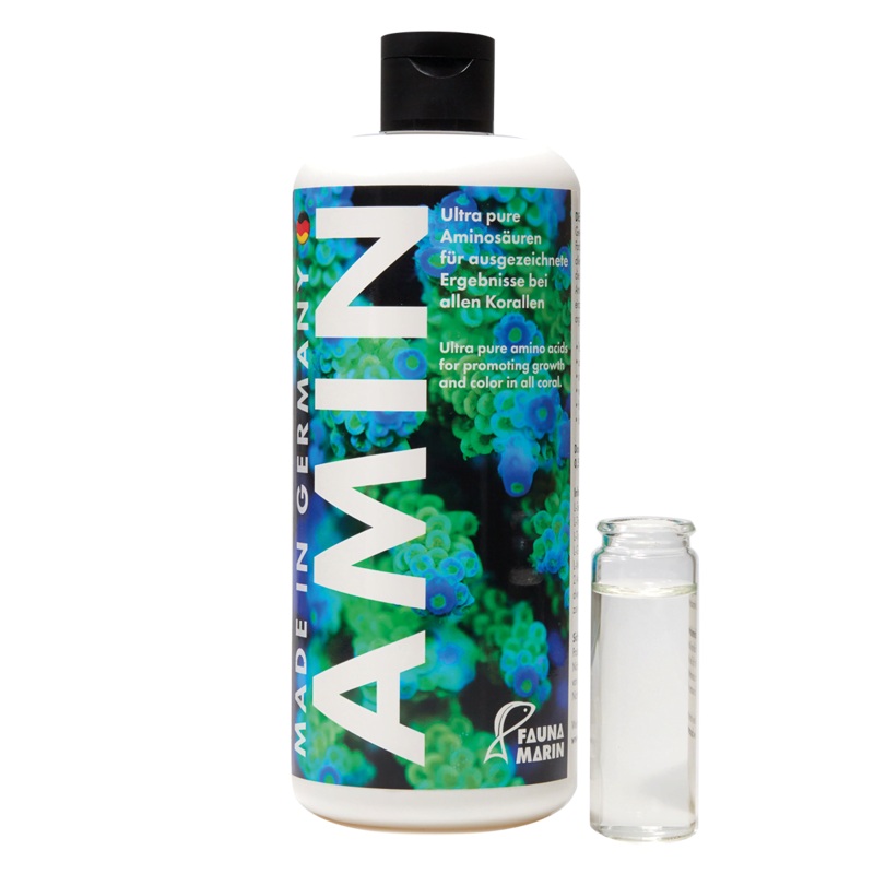 Fauna Marin Amin