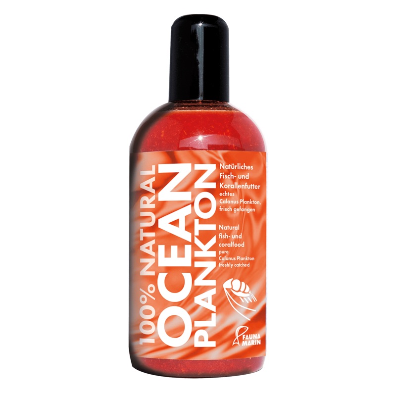 Fauna Marin Ocean Plankton