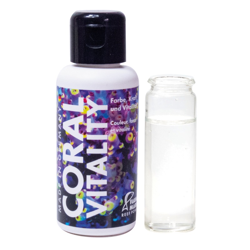 Fauna Marin Coral Vitality