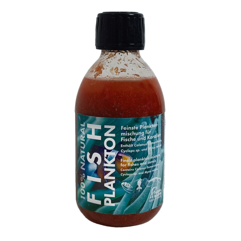 Fauna Marin Fish Plankton
