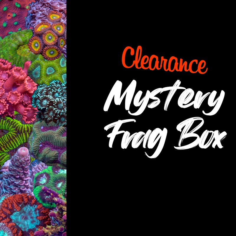 Clearance Mystery Frag Box