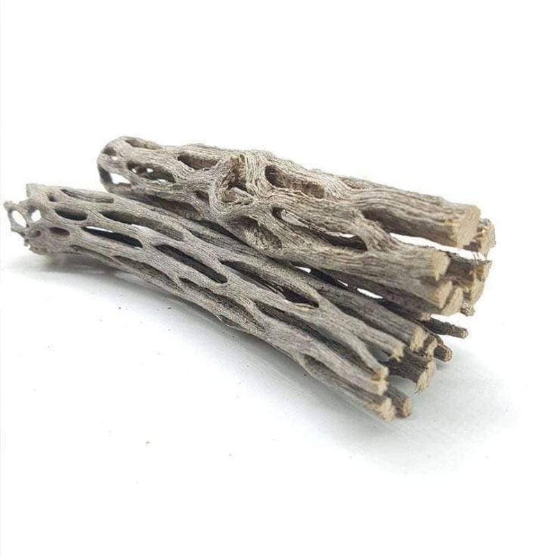 Cholla Wood 6cm -100% Natural-Organic Aquarium Driftwood Decoration