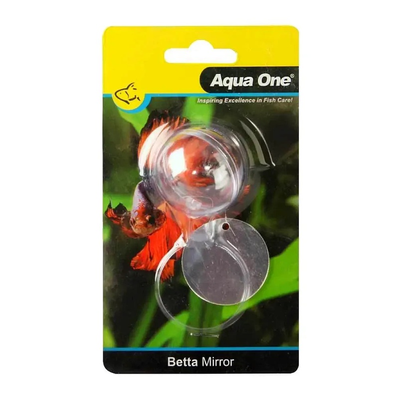 Clearance Floating Betta Mirror