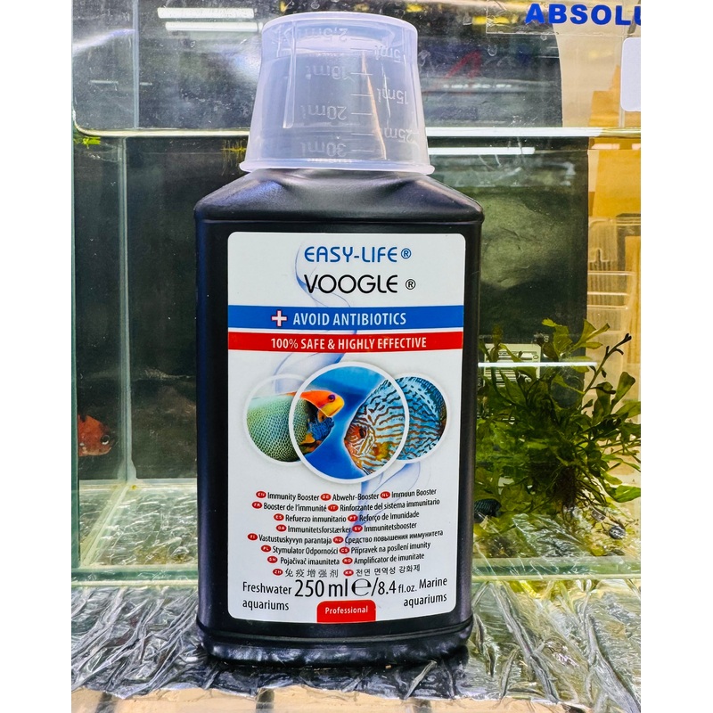 Immunity Booster - Happy and Healthy Fish