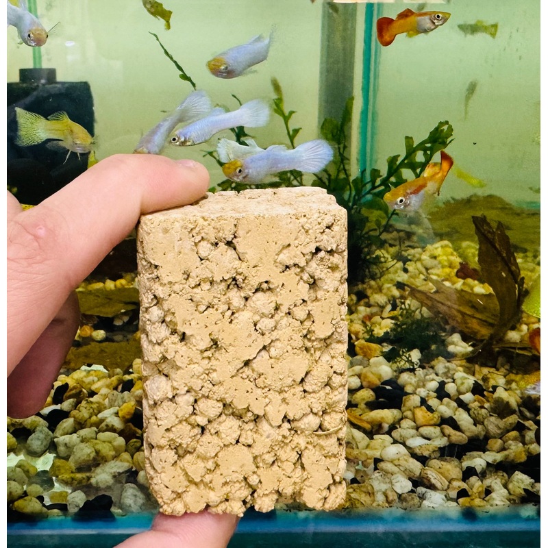 Bio Mini Block - Clean and Healthy Tank