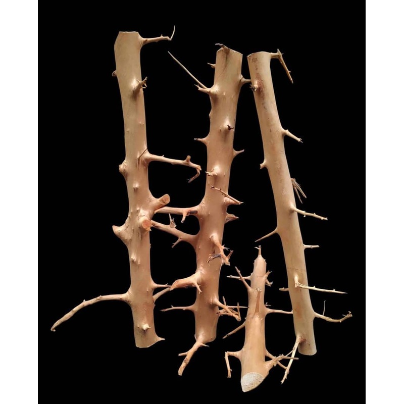 AP Naturals Long Hands Wood