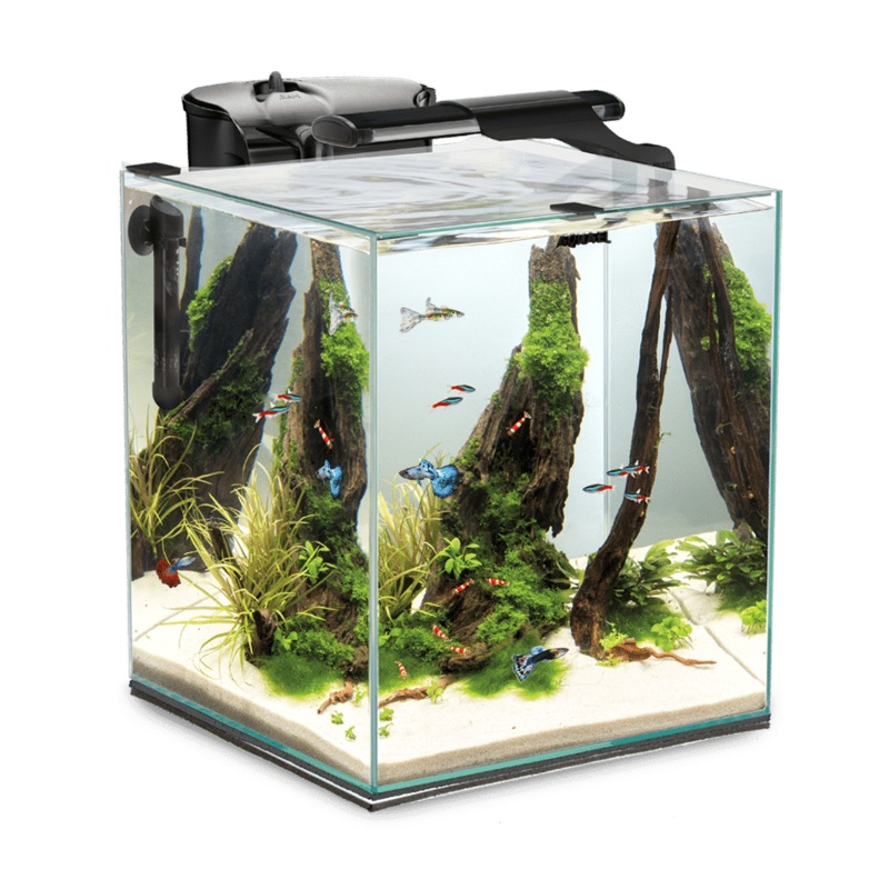 Aquael Fish & Shrimp Set Duo 35 Black Aquarium