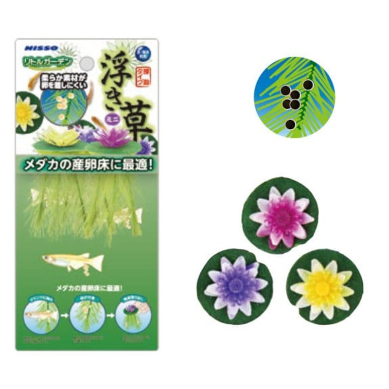 Nisso Floating Lily Mini 3pk (NAP-524)