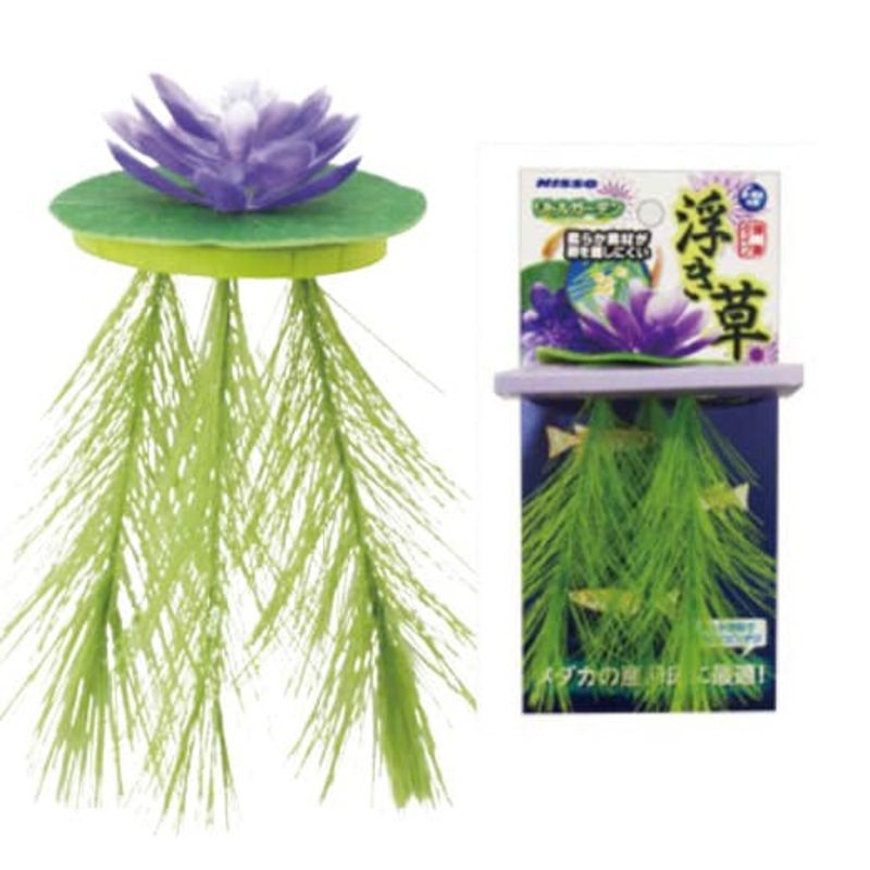 Nisso Floating Lily Purple (NAP-521)