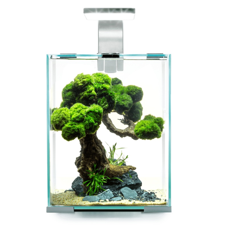 Aquael Shrimp Set Day & Night 10 White