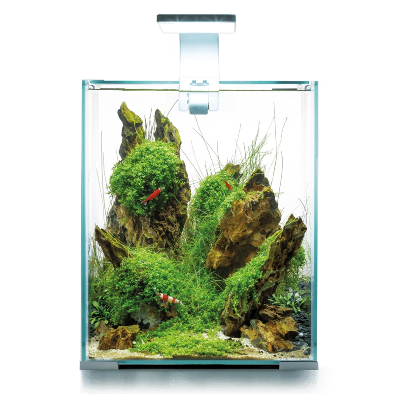Aquael Shrimp Set Day & Night 20 White