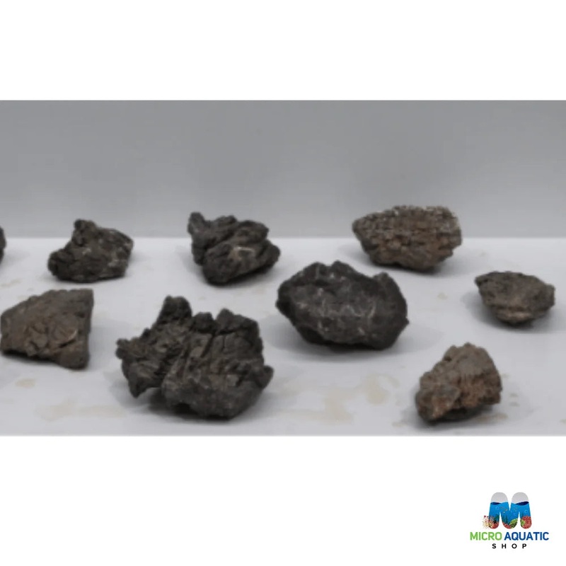 Grey Lohan Stone