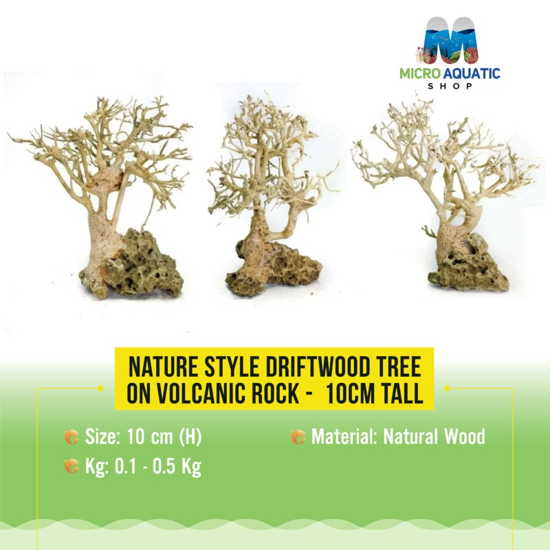 Nature style Driftwood tree on Volcanic Rock -  10cm Tall