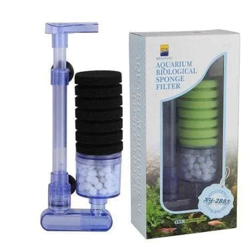 Single Sponge Filter with Media Chamber