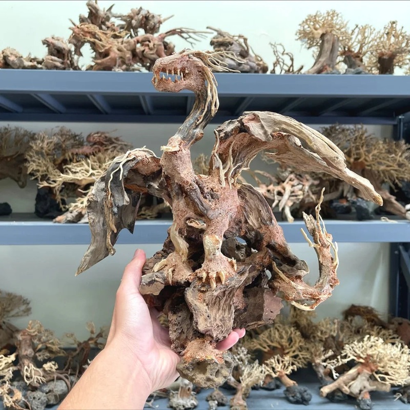 Dragon Driftwood Arts -  Unique Dragon Bonsai Driftwood