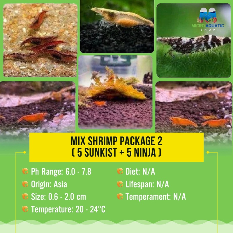 Mix Shrimp Package 2 ( 5 sunkist + 5 ninja )