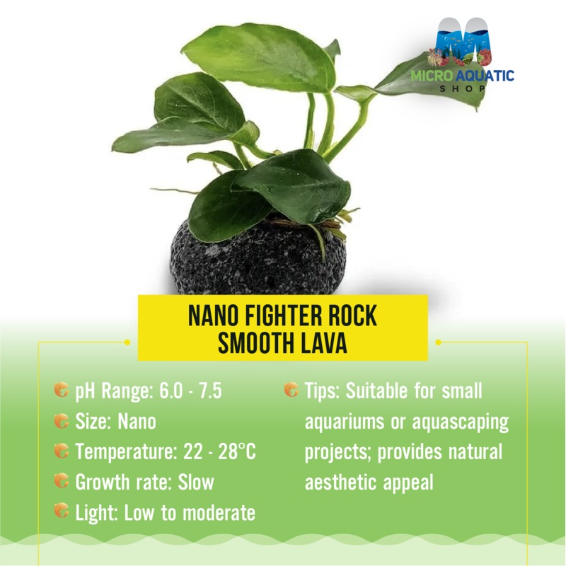 Nano Fighter Rock - Smooth Lava