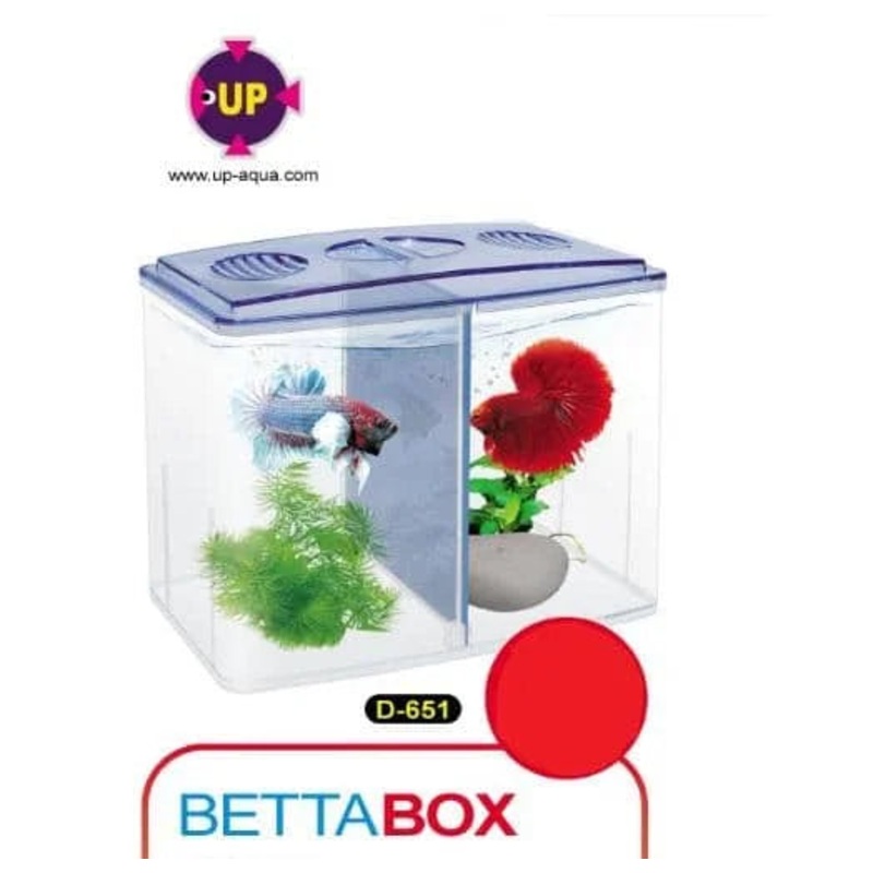 Up Aqua Betta Isolation Box