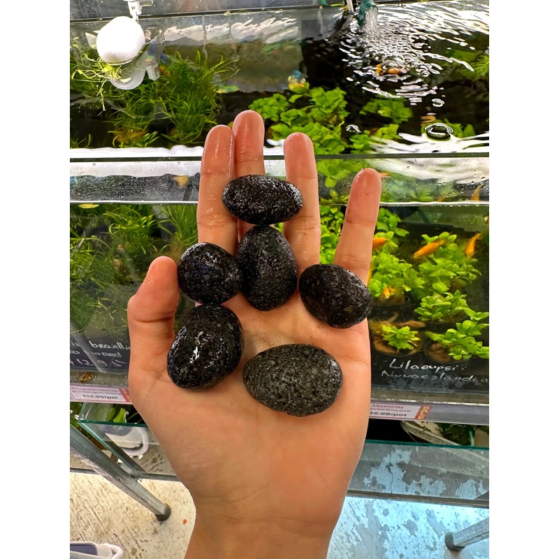 Aquascape Smooth Lava Rock Small 3cm - Stone