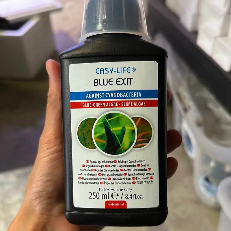 Blue - Green Algae Exit 250 ml